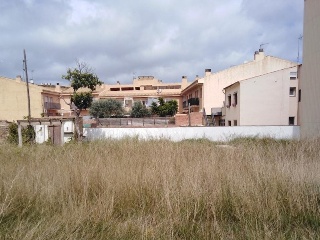 Piverd 14