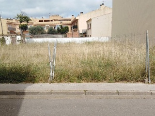 Piverd 16