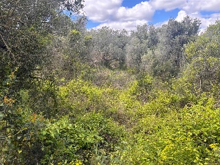 Fondo Masia D'En Perris, Urb. Mas Tapet 10