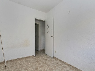 Estatut 28