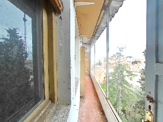 Cajal Teresa 46