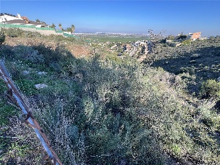 San Miguel 3