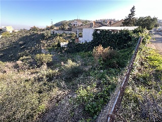 San Miguel 4