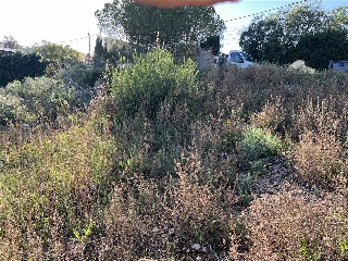 San Miguel 9