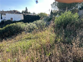 San Miguel 11