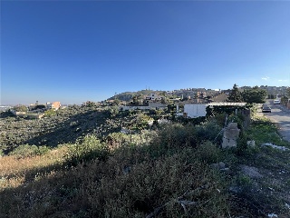 San Miguel 17