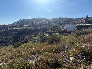 San Miguel 25