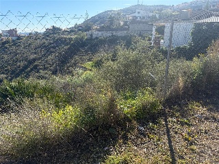 San Miguel 26