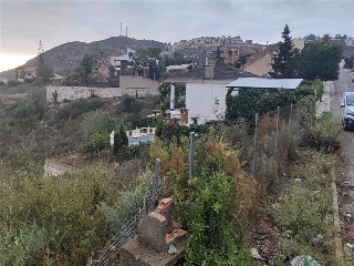 San Miguel 29