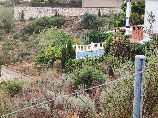 San Miguel 31