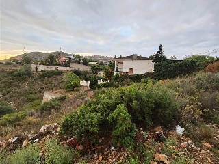 San Miguel 36