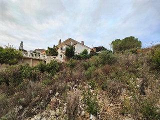 San Miguel 38