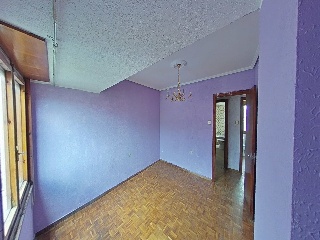 Colon 31