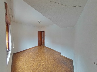 Colon 34