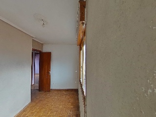 Colon 40