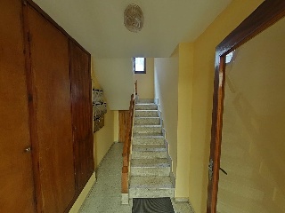 Colon 49