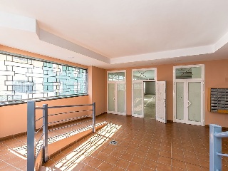 Autillo 39