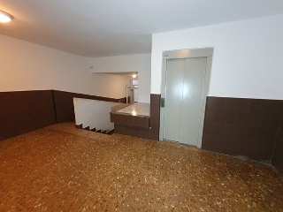 Constantino 8