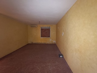 Molino 13