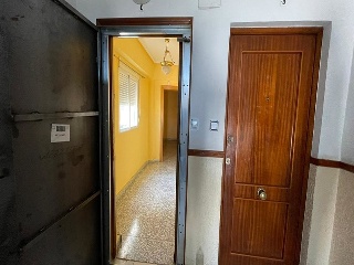 Mayor 13