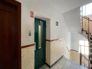 Mayor 14