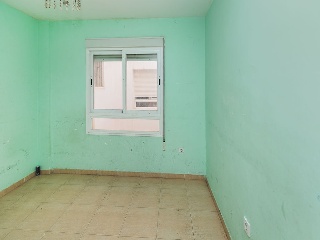 Palmeras (Las) 8