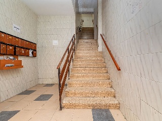 Picayo 16