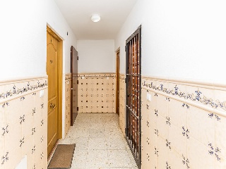 El Ejido 17