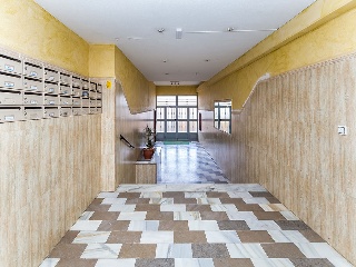 El Ejido 19