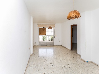 El Ejido 24