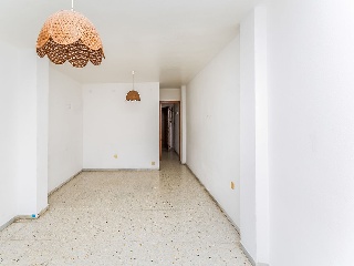 El Ejido 25
