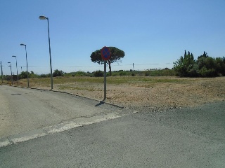 Arcs (Dels) 6