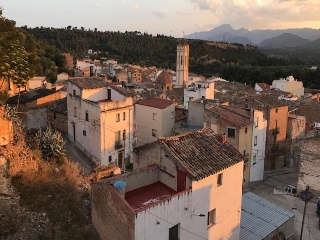 Sant Antoni 2