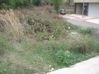 De Los Robles 2