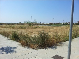 Benito Coll, Parcela 4 7
