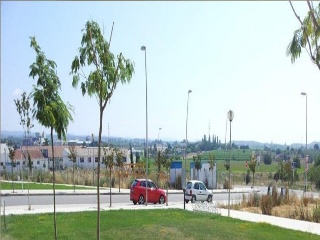 Benito Coll, Parcela 4 9