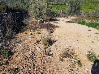 Povets 4