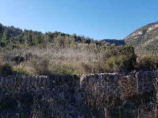 Povets 5