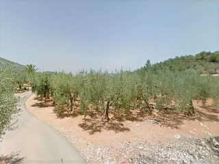 Povets 7