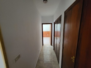 Rosario 7