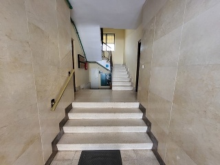 Rosario 13