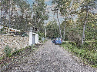 Martivell 4