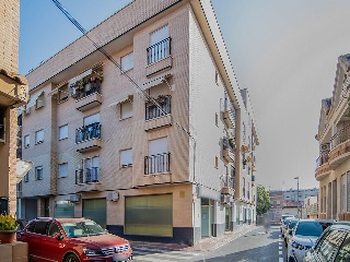 Rubio Pino 4