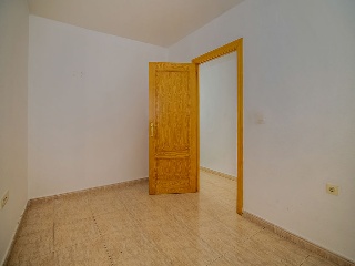 Rubio Pino 5