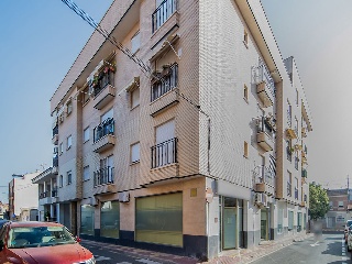 Rubio Pino 18