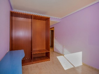 Rubio Pino 20