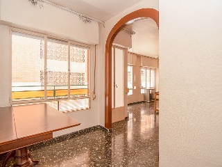Mayor 3