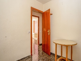 Mayor 22