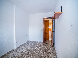 Marte 7