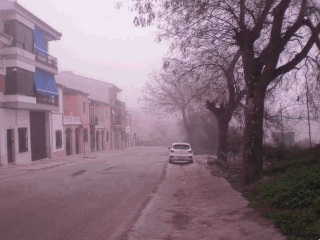 Pisos banco Torreperogil